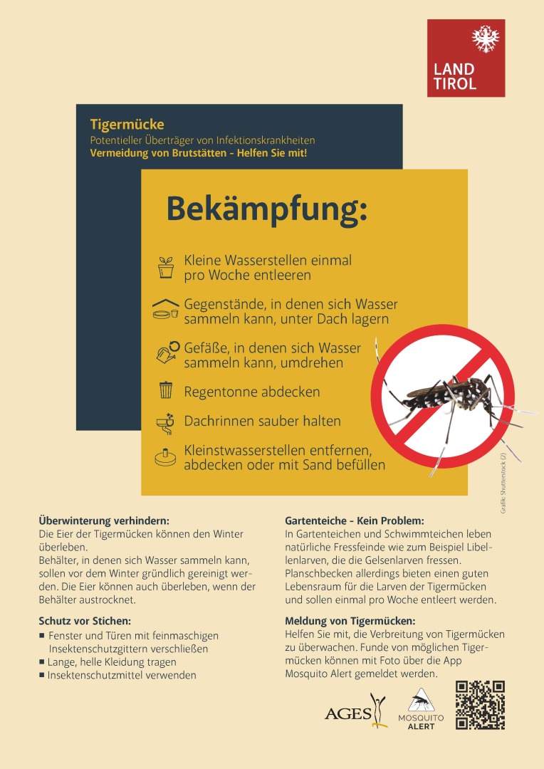 Poster Tigermücke